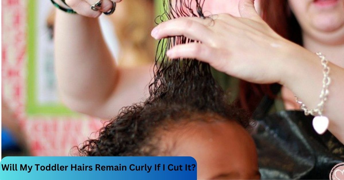 Will My Toddler Hairs Remain Curly If I Cut It