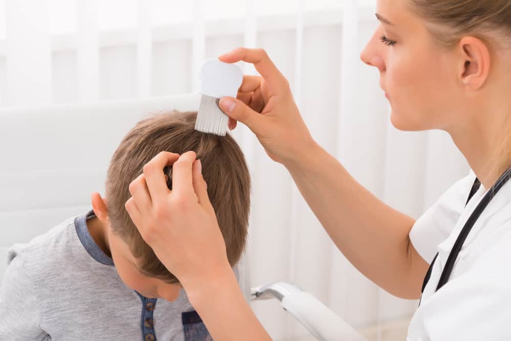 How Long Does It Take To Get Rid Of Lice Treatment?