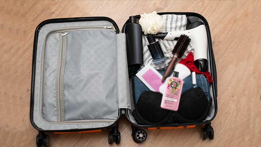 Try To Take Shears in carry-on bags