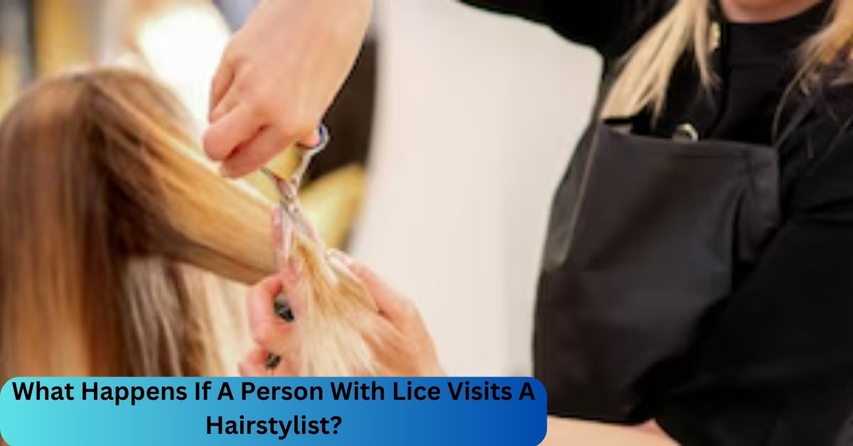 What Happens If A Person With Lice Visits A Hairstylist