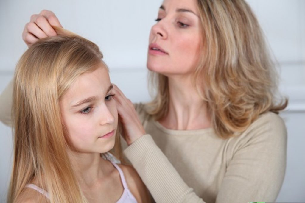 What You Need To Do After Lice Treatment? 