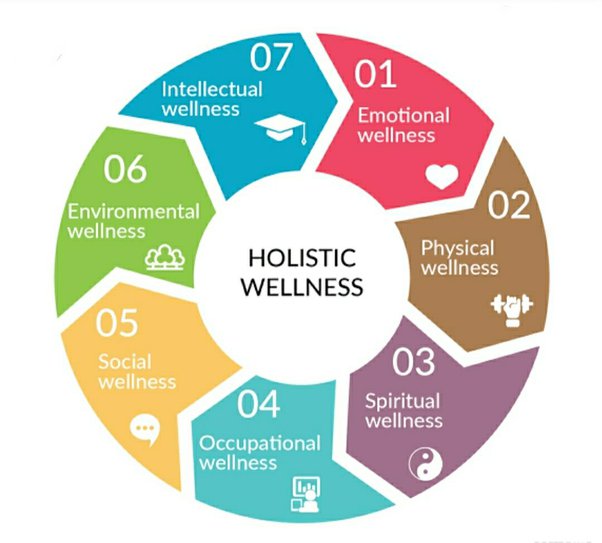 Understanding The Need For Holistic Wellness