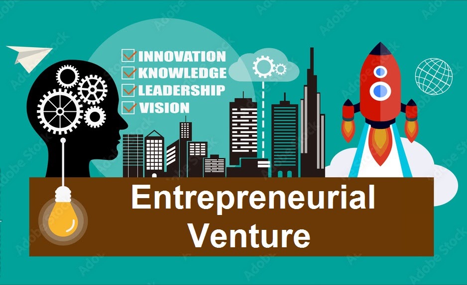 Entrepreneurial Ventures That Redefined Industries