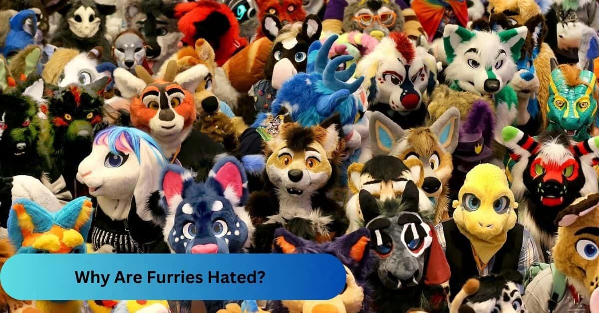 Why Are Furries Hated?