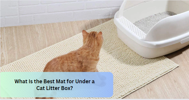 What Is the Best Mat for Under a Cat Litter Box?