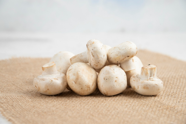Is the right mushroom farm equipment a key to its success?