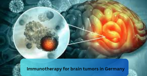 Immunotherapy for brain tumors in Germany: present and future