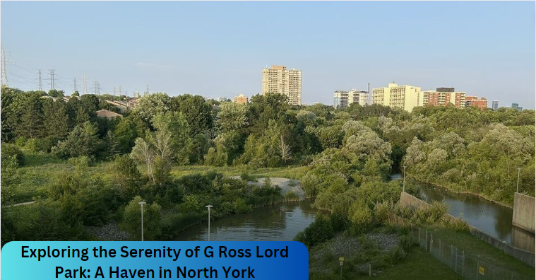 Exploring the Serenity of G Ross Lord Park: A Haven in North York